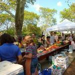 Clark Park Farmers' Market