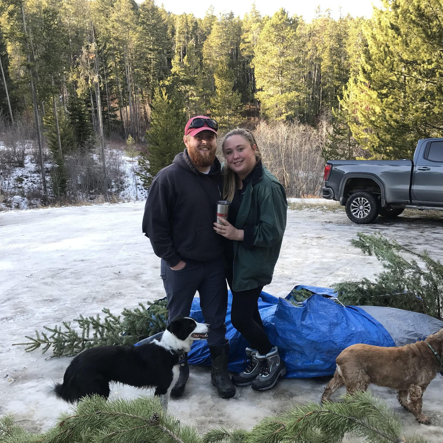 Christmas Tree Hunting - Bailey's favorite Holiday Tradition!