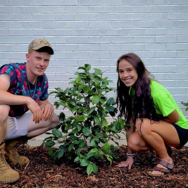 From tiny roots to forever. Our love bush!