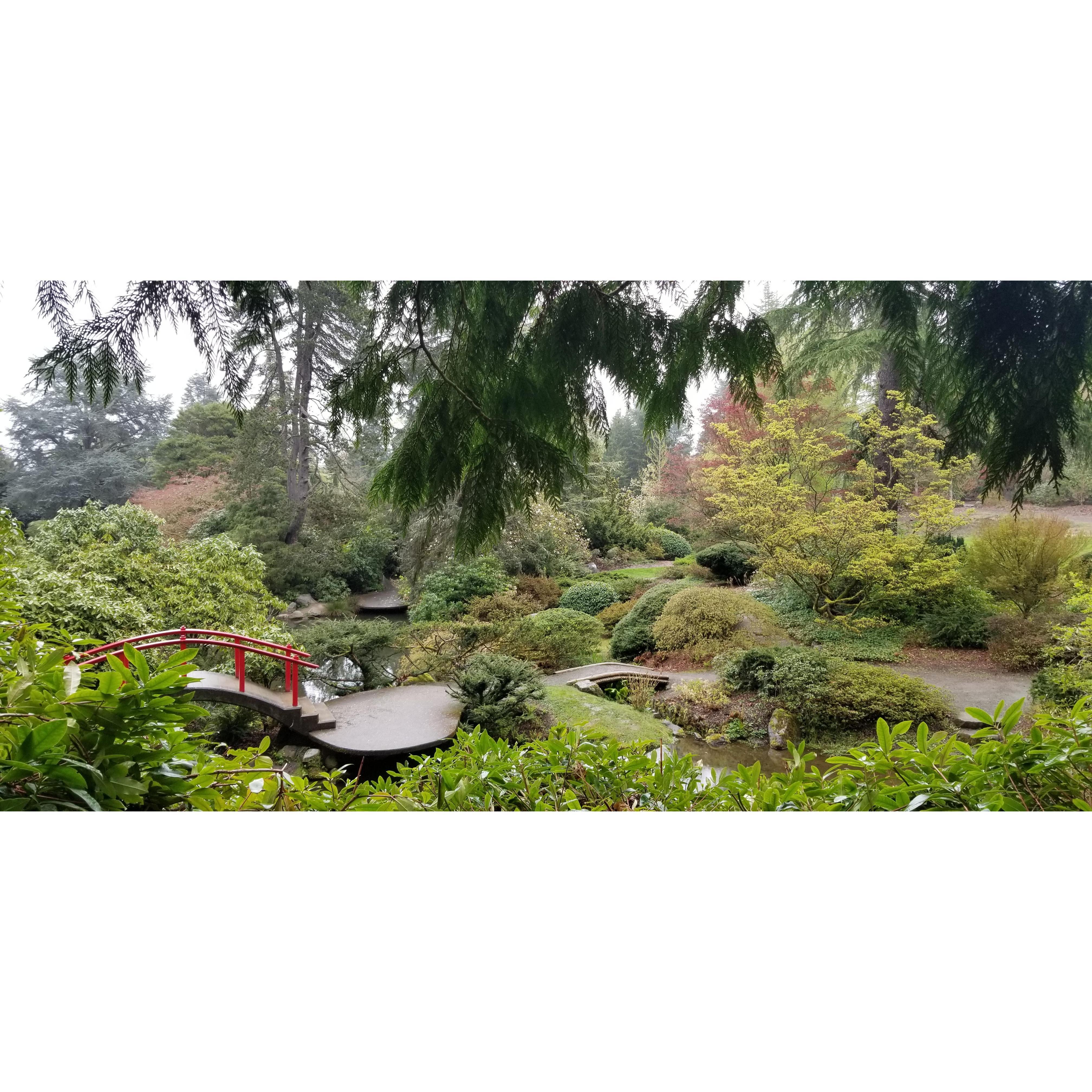 Kubota Japanese Garden where James proposed on April 13, 2019. 💍