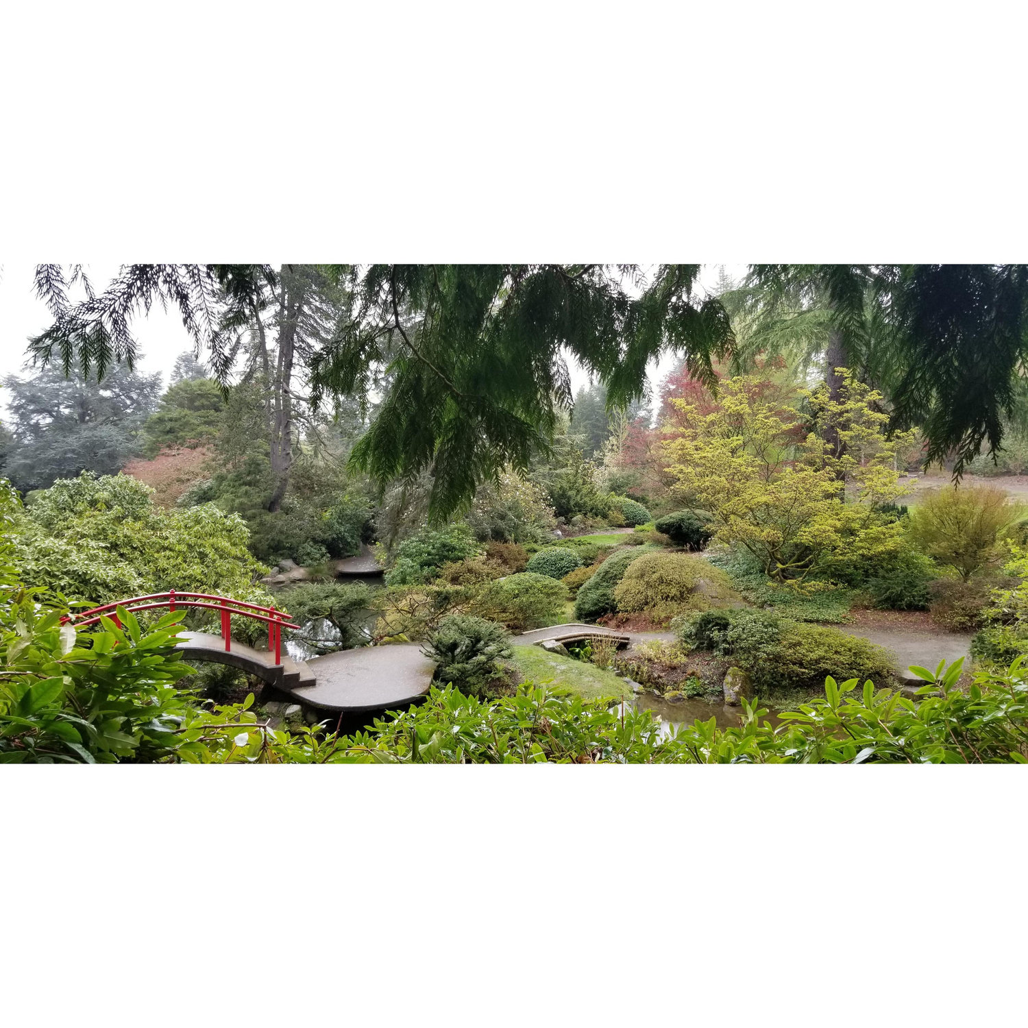Kubota Japanese Garden where James proposed on April 13, 2019. π