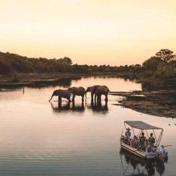 Honeymoon Excursions