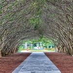 The Dallas Arboretum and Botanical Garden
