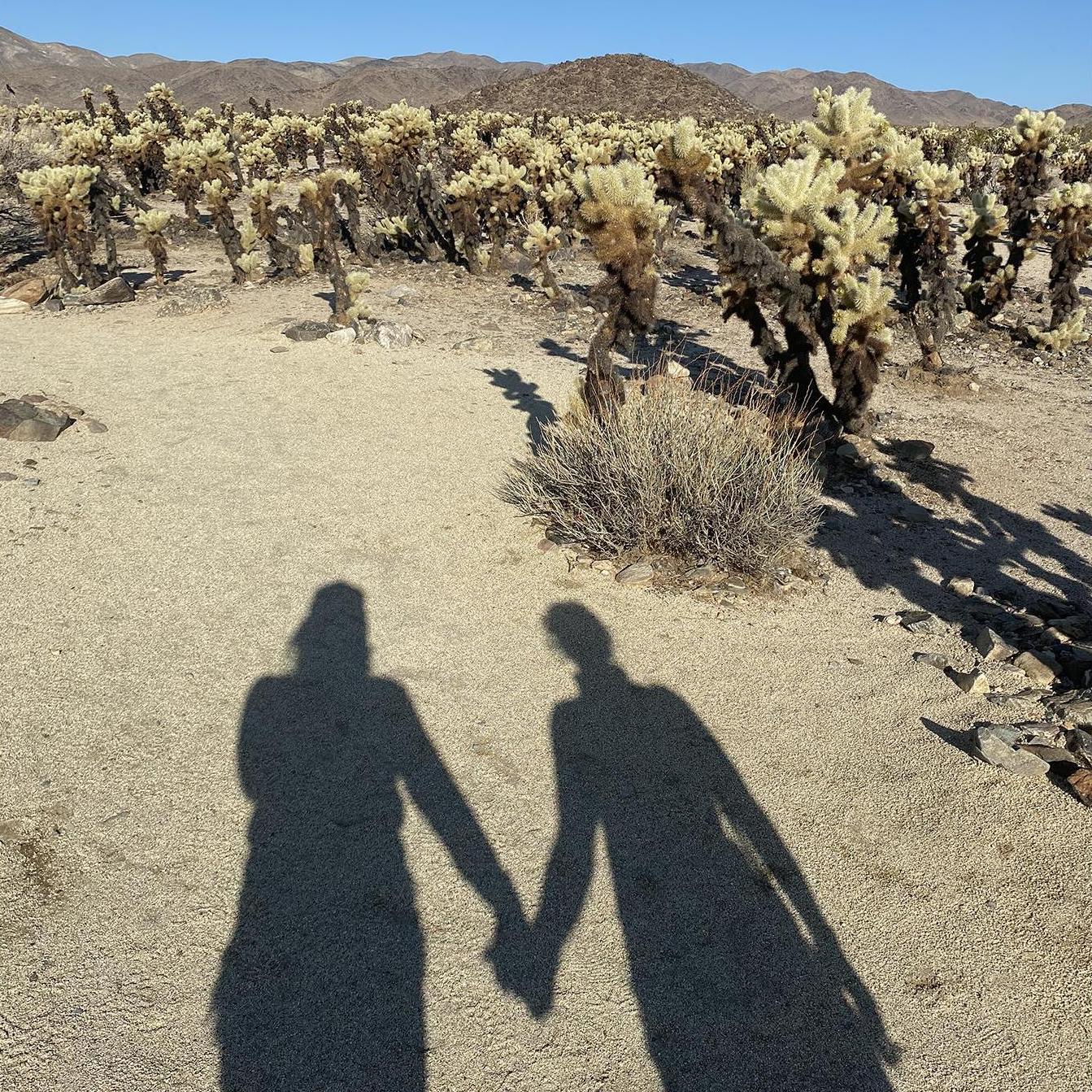 exploring joshua tree