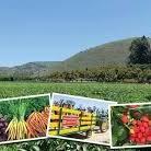 Underwood Family Farms