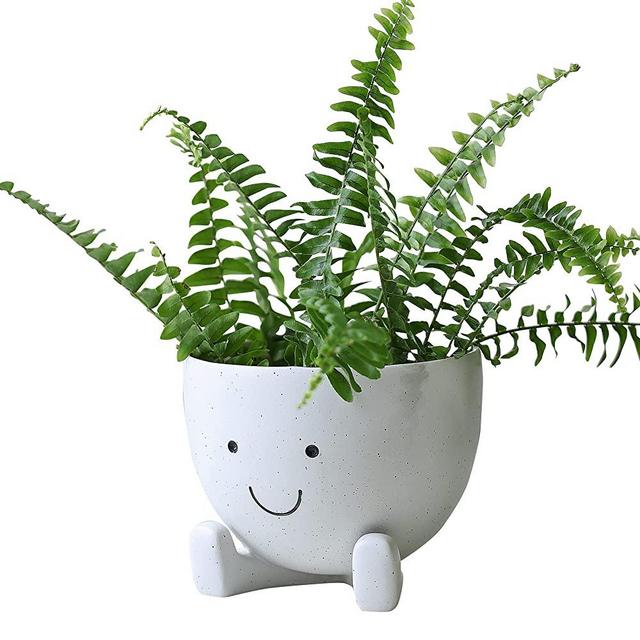 Face Flower Pot Face Planters Pots Cute Flower Pot Head Planter for Indoor Plants Succulent Planters with Drainage Hole Resin Planter 4 Inches