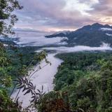 Ecuadorian Amazon