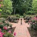 The Frelinghuysen Arboretum