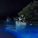 Bioluminescent Bay in Fajardo