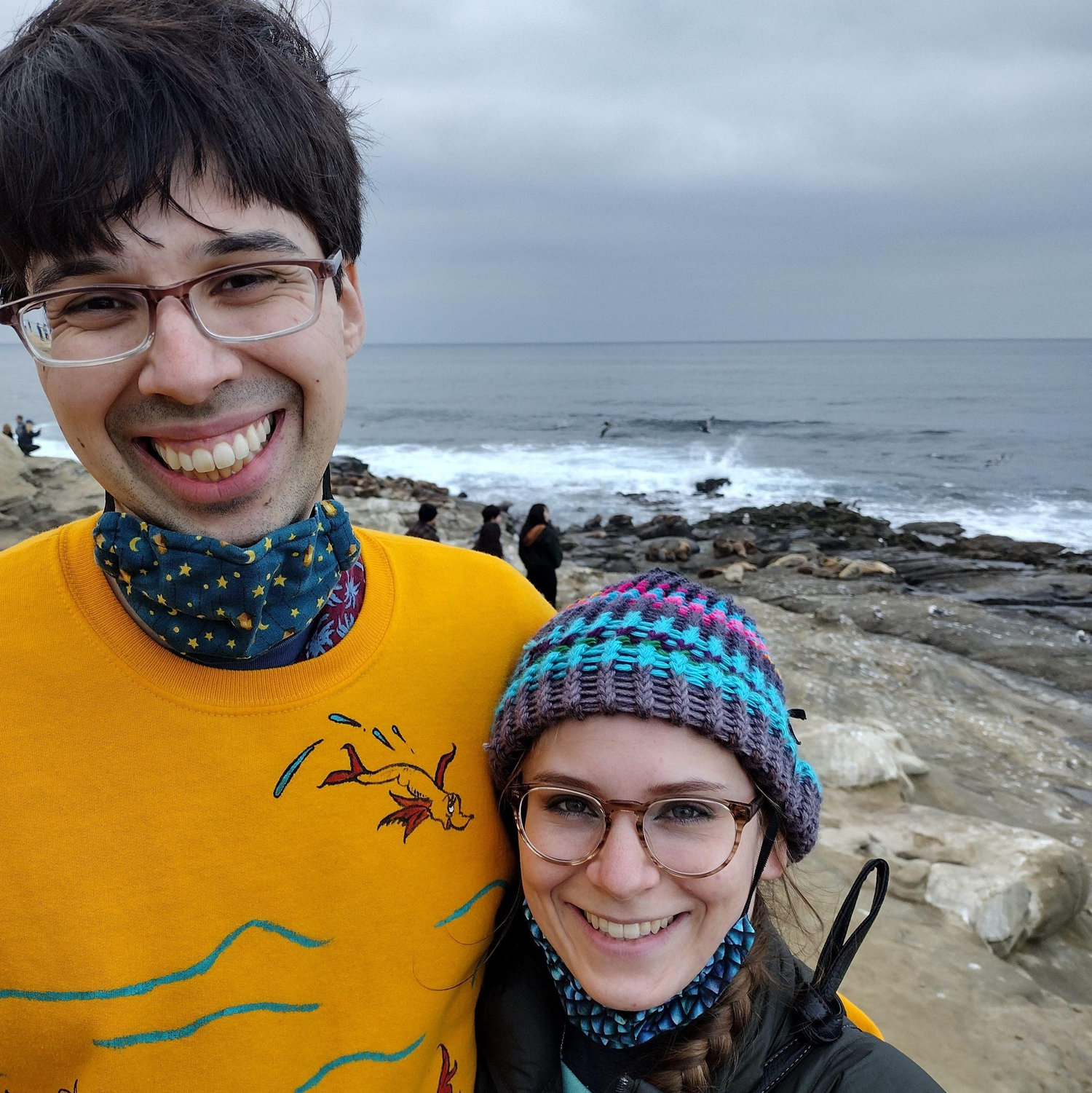 Seeing the sea lions of La Jolla, January 2022