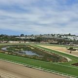 Horse Racing at Del Mar Racetrack