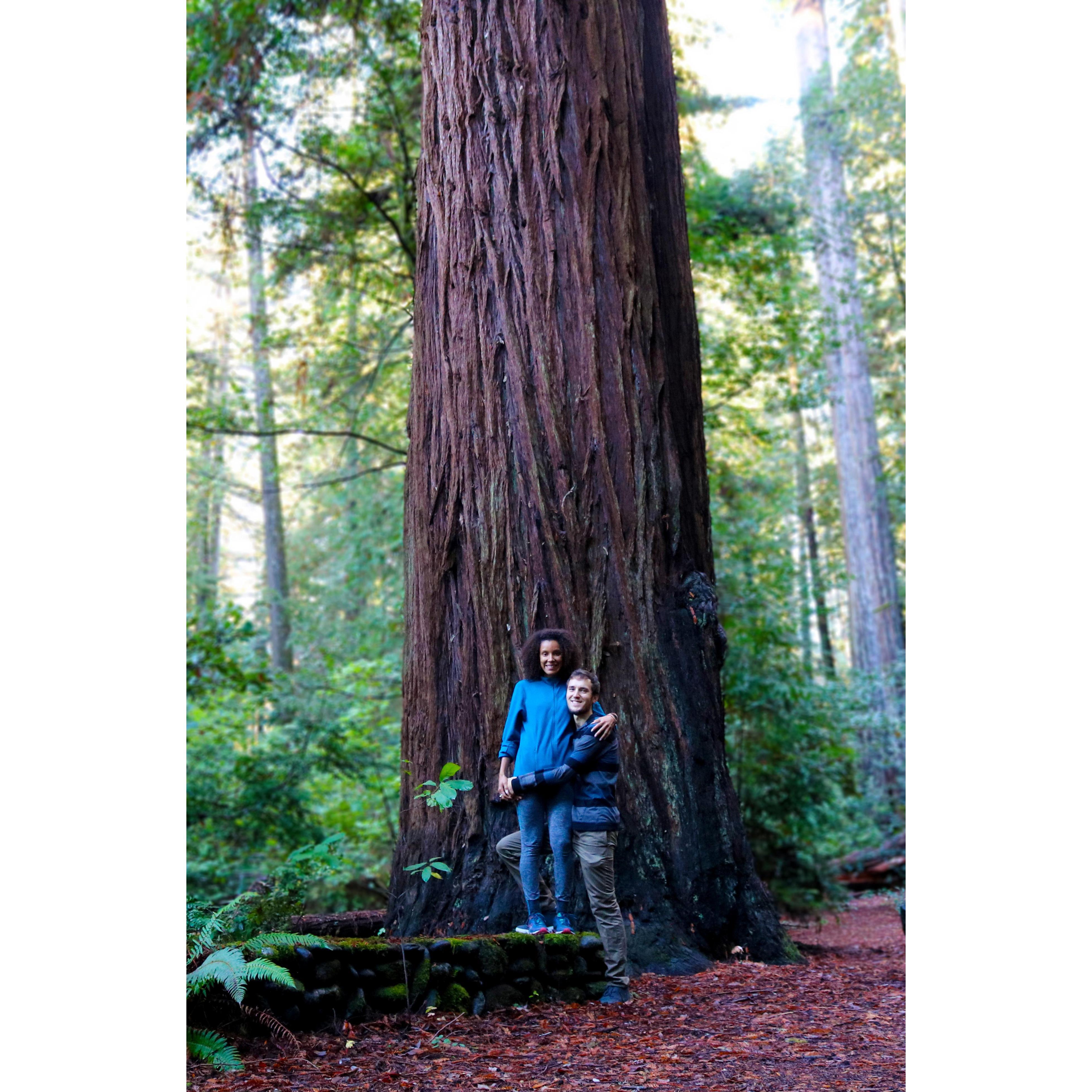 We took a road trip to Portland but made a pitstop in the Jedidiah National Forest.
