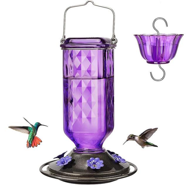 Kingsyard Glass Hummingbird Feeder for Outdoor Hanging, 24 Ounces, 6 Feeding Ports, Bird Nectar Feeder for Garden Décor, Ant Moat Included, Purple