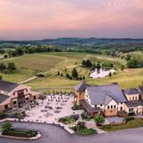 Virginia Vineyards