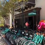 Bamboo Bicycle Company