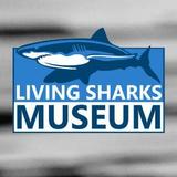 Living Sharks Museum