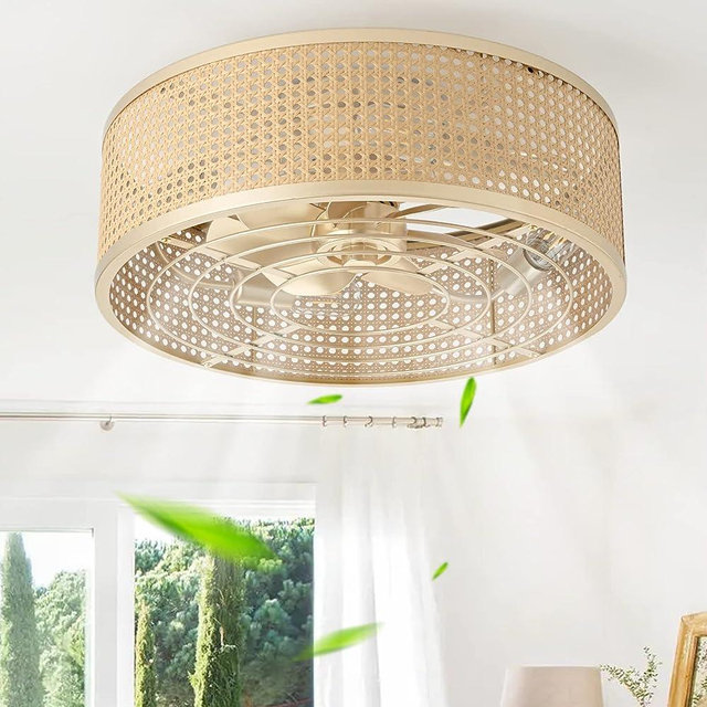 hummingbird Boho Caged Ceiling Fan with Light, 20'' Rattan Flush Mount Ceiling Fan with Light and Remote Control for Bedroom Kitchen Living Room