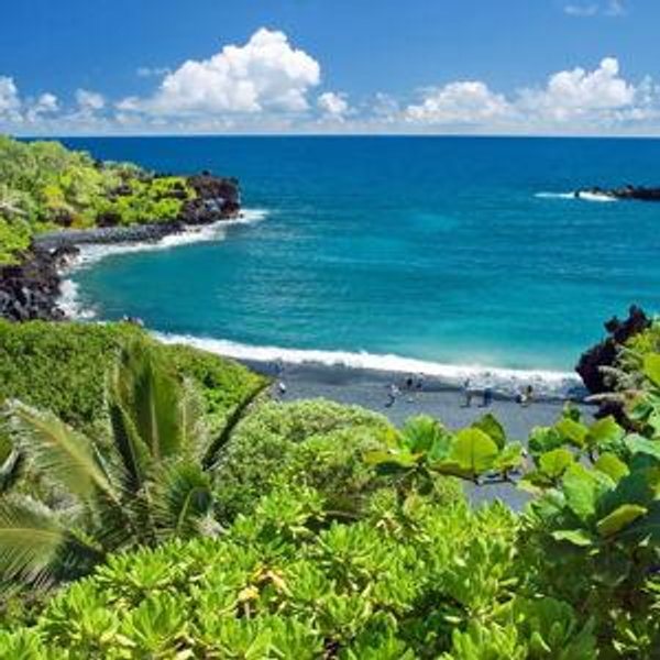Honolulu Honeymoon Funds