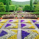 The North Carolina Arboretum