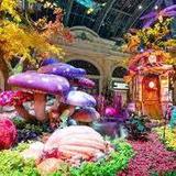 The Conservatory @ Bellagio Hotel & Casino