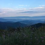 Shenandoah National Park, Front Royal Entrance Station