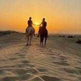 Desert Palm Equestrian Centre