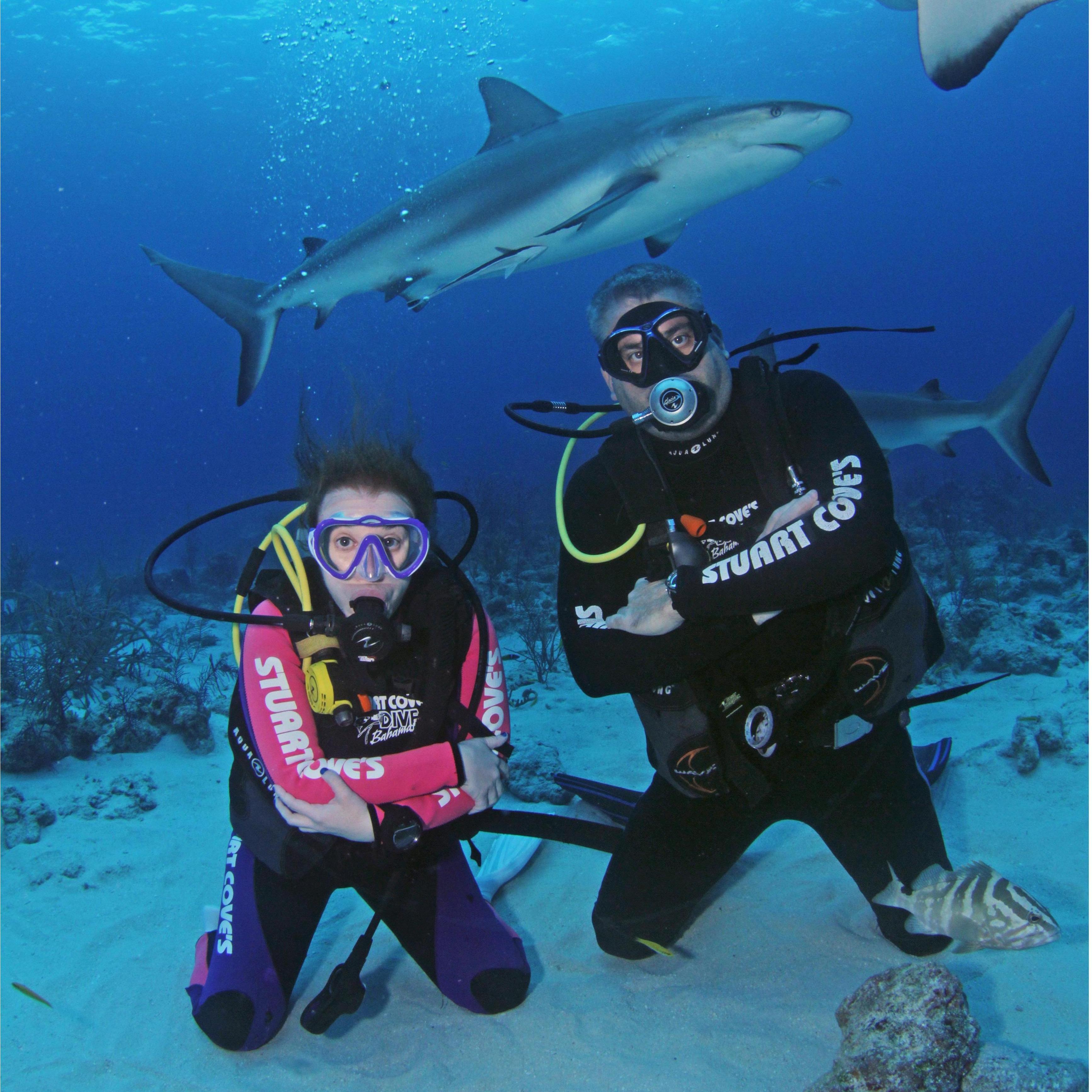 Shark diving, nbd