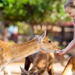 Wisconsin Deer Park
