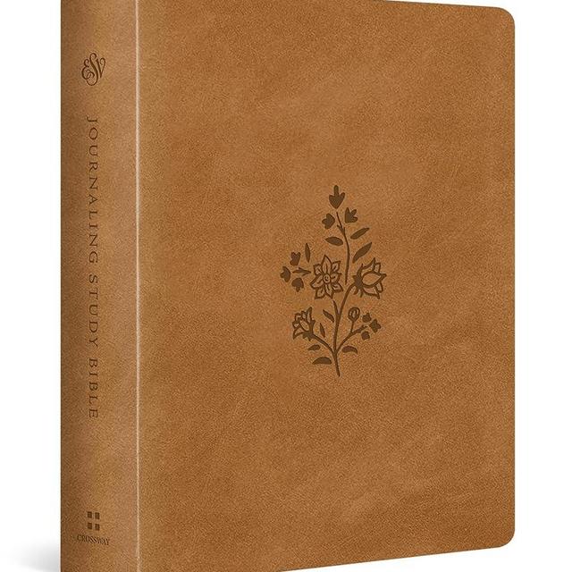 ESV Journaling Study Bible (TruTone over Board, Nubuck Caramel)