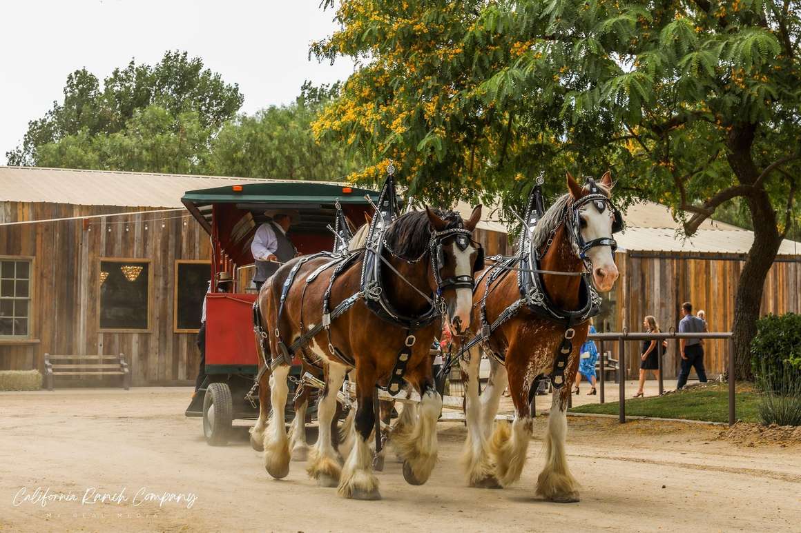 CRC Ranch Weddings