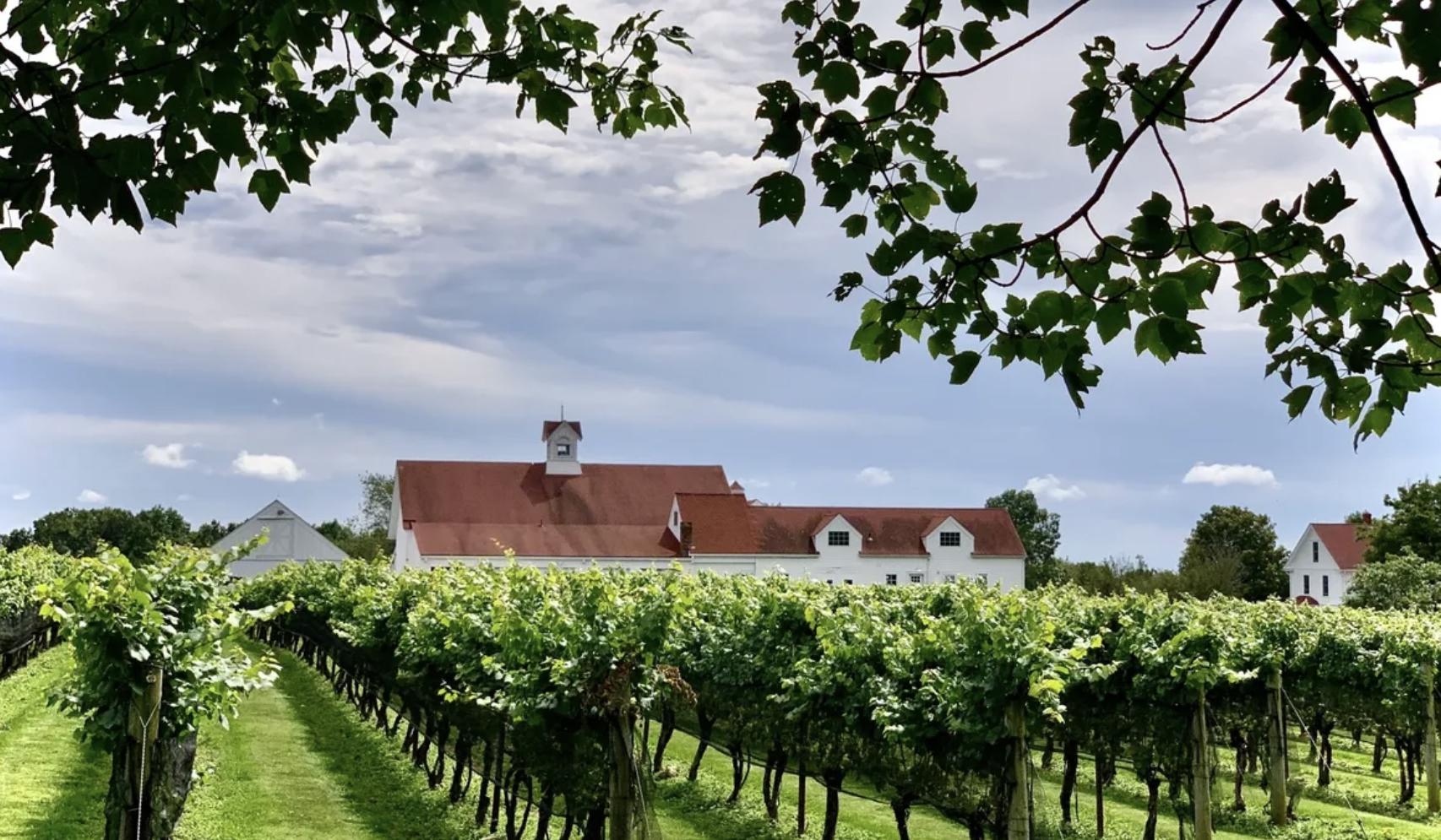 The Wedding Website of Megan Guerrette and Matthew Hoff