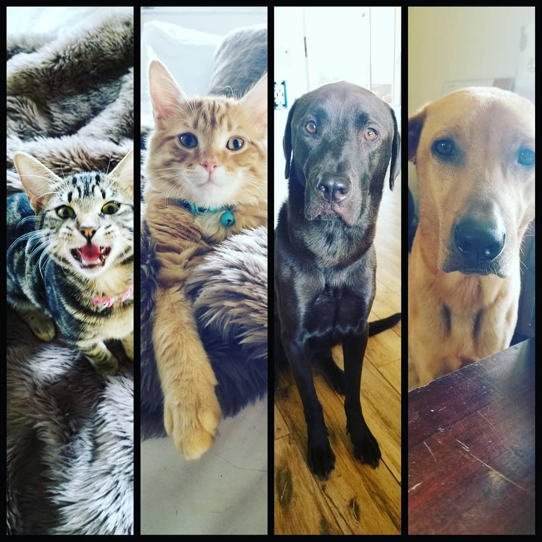 Our zoo