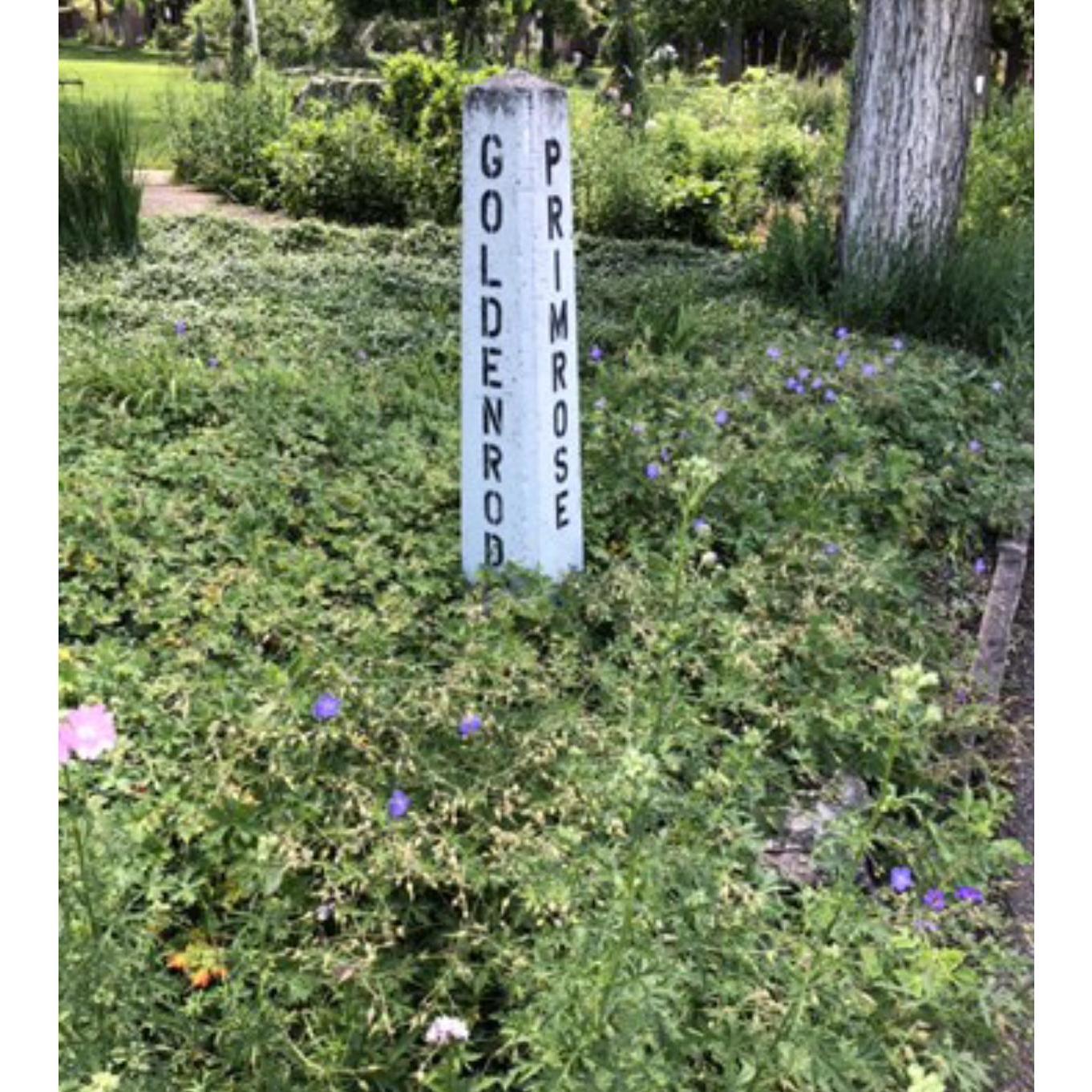 Look for this sign in the lot where you'll park, directly across the road from the cottage. (sidenote, Tessie is obsessed that it's call primrose, b/c it reminds her of Prim in the Hunger Games!)