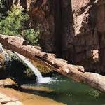 Payson