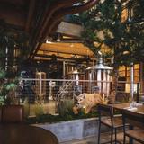 Three Bears Brewery & Restaurant
