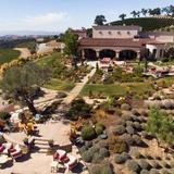DAOU Vineyards