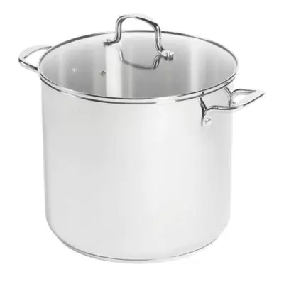 SALT® Stainless Steel Stock Pot (16 Qt)