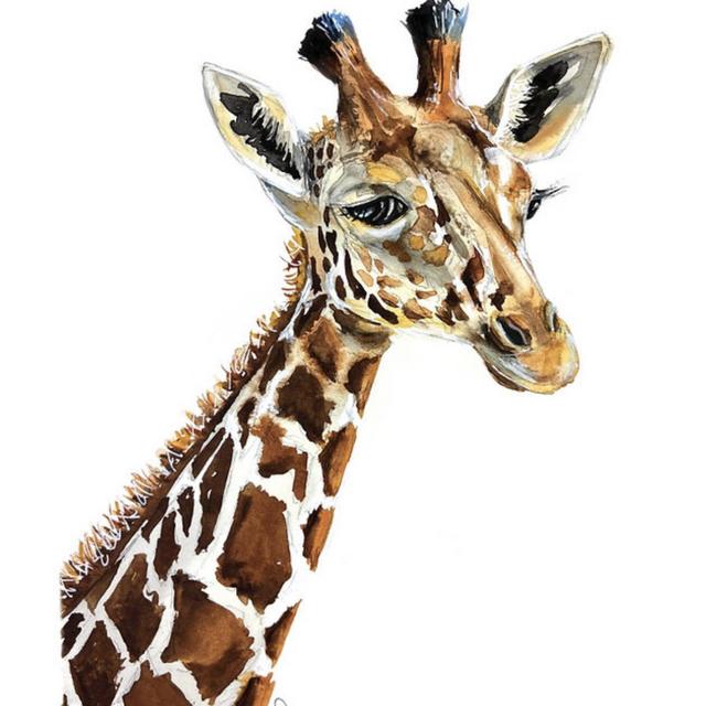 Cute Girrafe / AUDREY SHANTZ ART 8x10