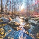 George Washington National Forest