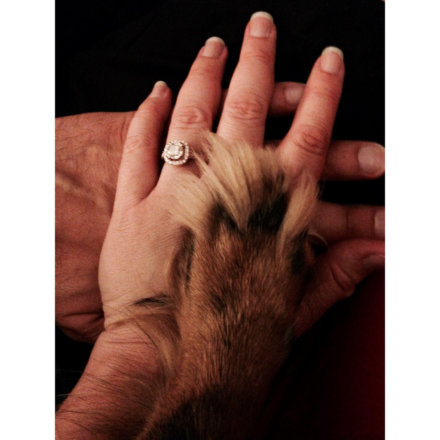 We are engaged!  July 8, 2017