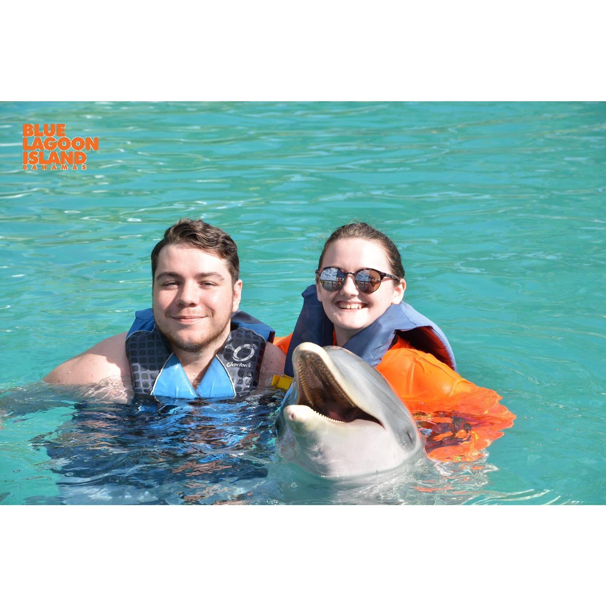 Swimming with the dolphins!