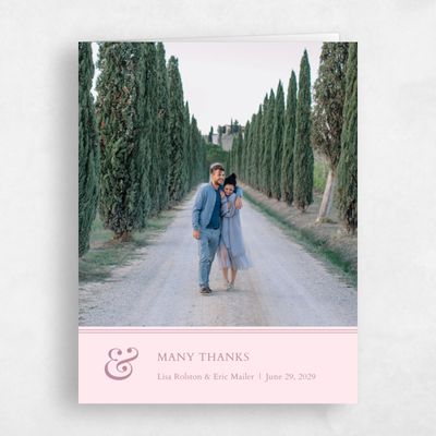 Blush, Pink Wedding Thank You - Verona Banner