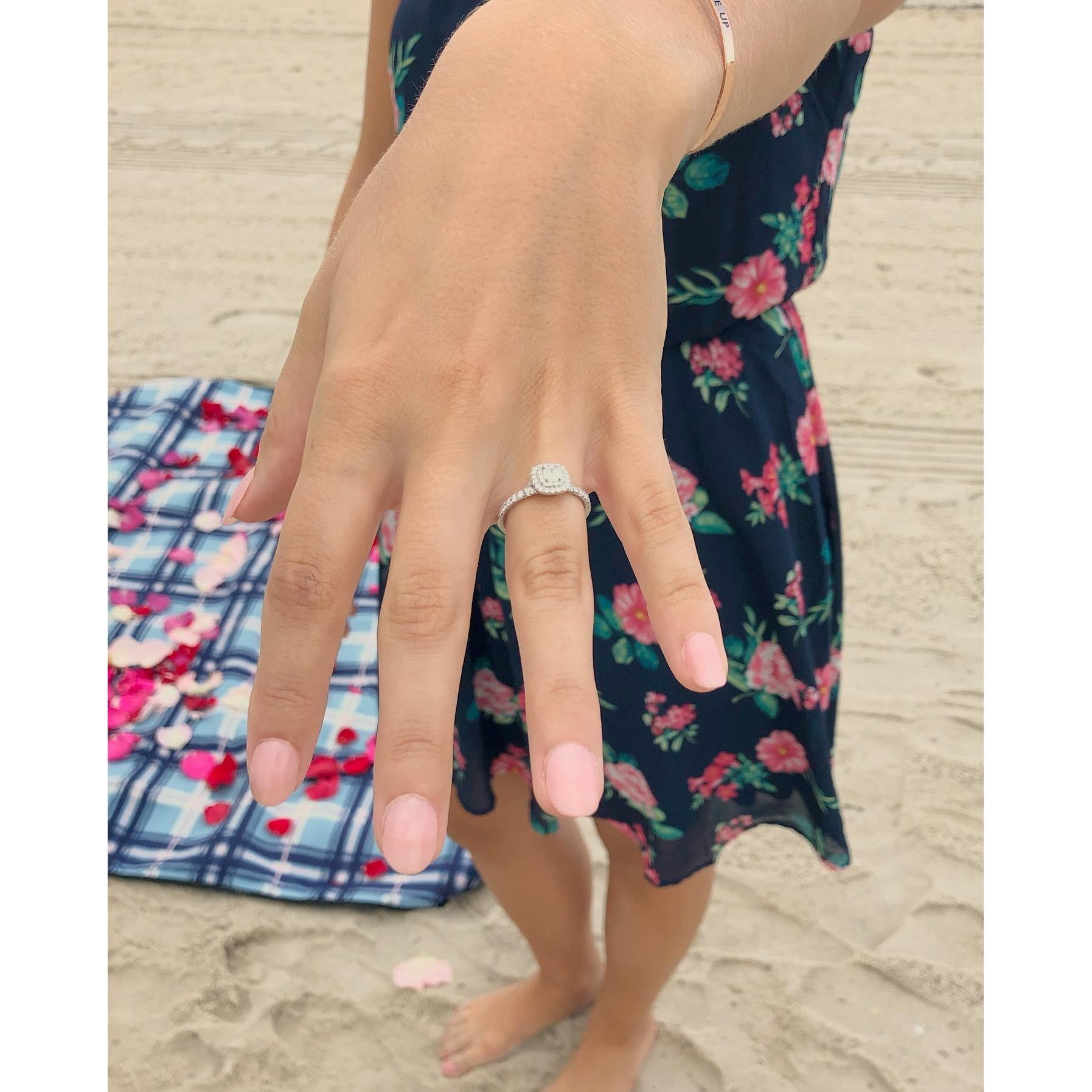 Amanda says "Yes" in Key West!