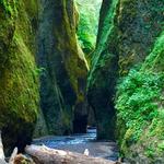 Oneonta Gorge
