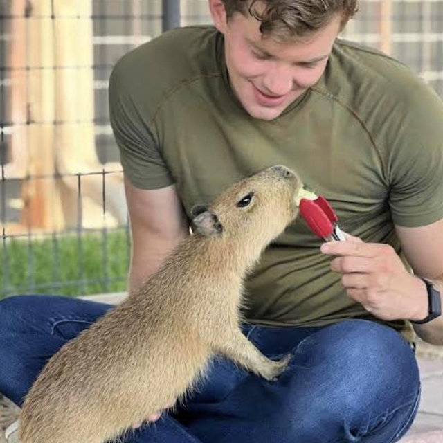 Interactive Capybara Experience for 2!