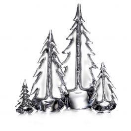 Young Evergreen Grove (Gift Boxed)