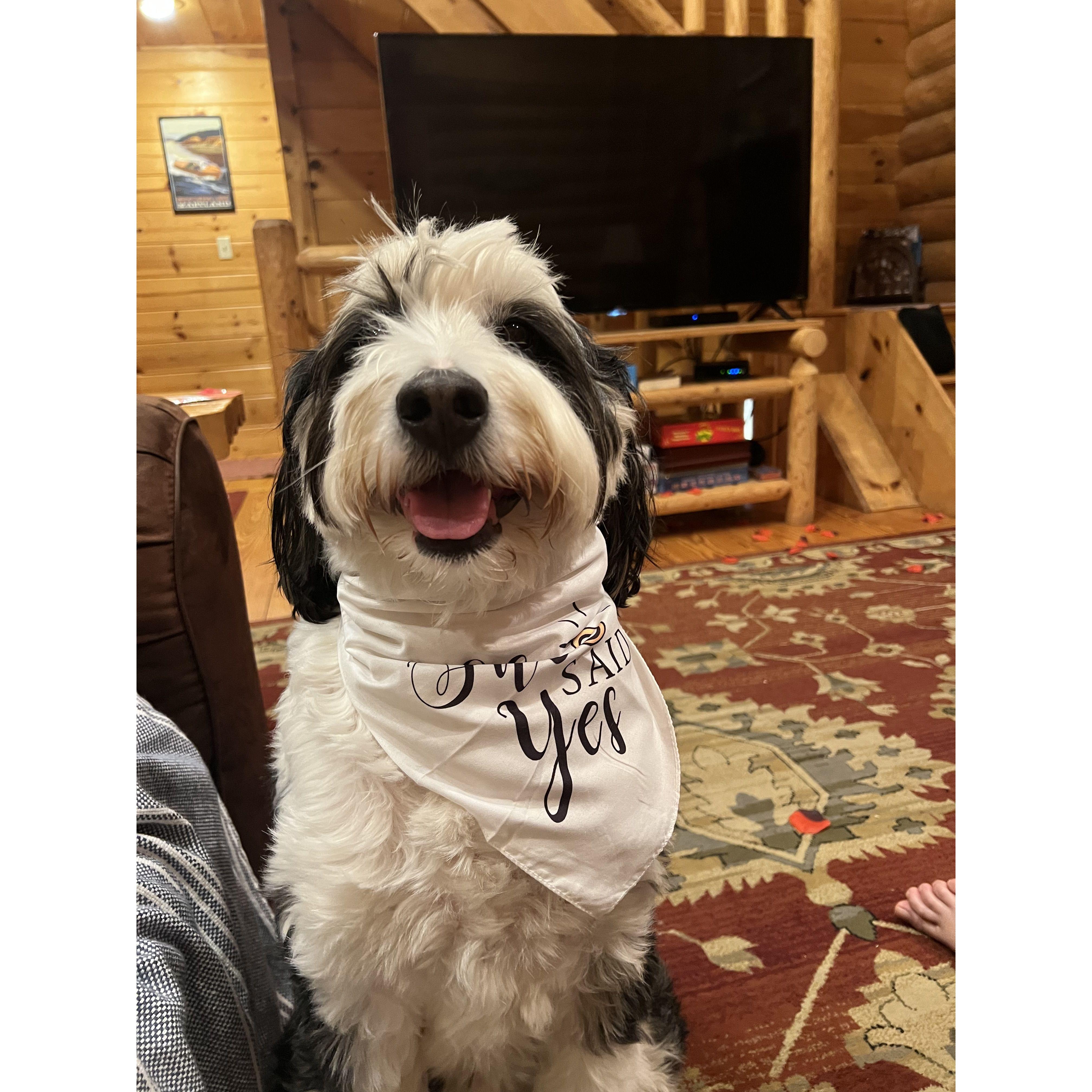 Frankie in on the engagement fun!