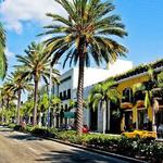 Rodeo Drive