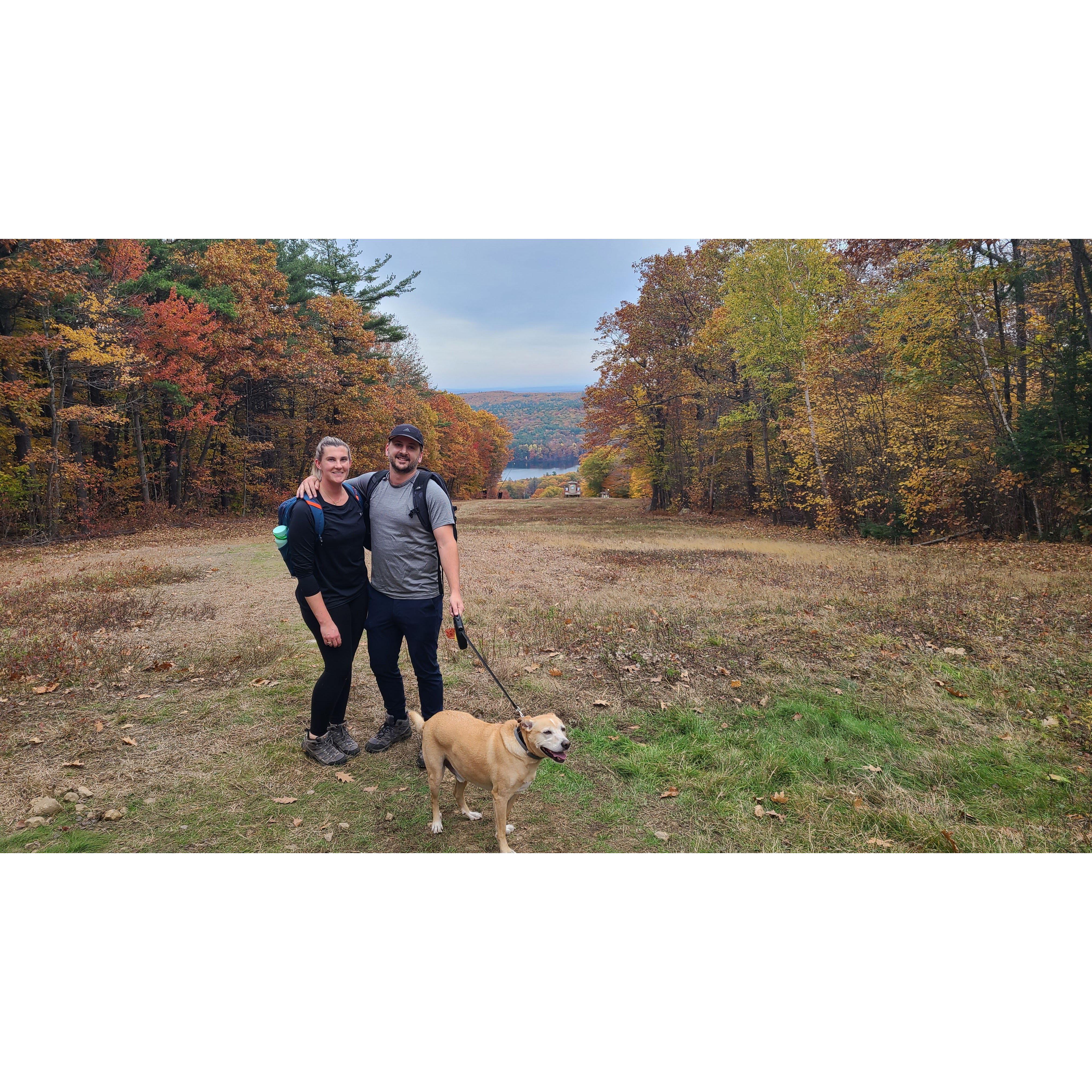 Wachusett Mountain featuring our dog, Herman. October 2022