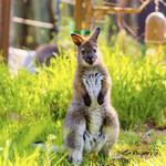 Santa Barbara Zoo